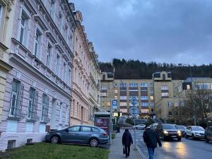 Prodej bytu 3+1, Karlovy Vary, náměstí Dr. M. Horákové, 80 m2