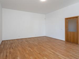 Pronájem bytu 5+kk, Praha - Smíchov, U Plátenice, 226 m2