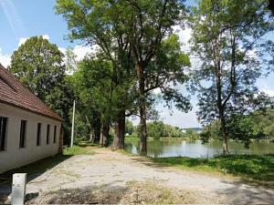 Prodej zemědělské usedlosti, Želetava, 500 m2