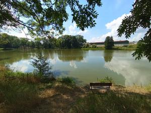 Prodej zemědělské usedlosti, Želetava, 500 m2