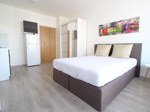 Pronájem bytu 1+kk, Praha - Dolní Měcholupy, Honzíkova, 30 m2