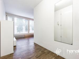 Prodej bytu 1+kk, Šternberk, Labutí, 31 m2