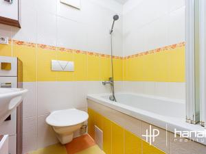 Pronájem bytu 1+kk, Šternberk, Labutí, 31 m2