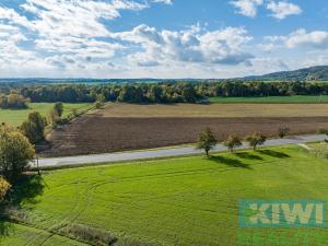 Prodej pozemku pro komerční výstavbu, Mankovice, 21944 m2