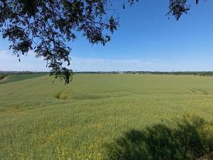 Prodej zemědělské půdy, Čestlice, Říčanská, 480 m2