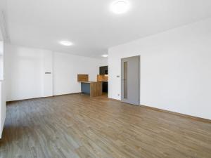 Pronájem bytu 1+kk, Zruč-Senec - Zruč, Sportovní, 57 m2