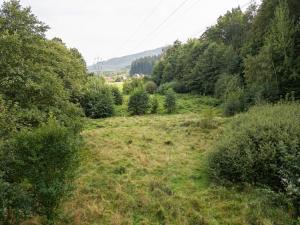 Prodej trvalého travního porostu, Liberec, U Tří studní, 6759 m2