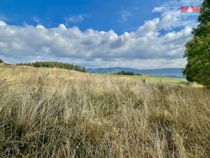 Prodej zemědělské půdy, Zvole, 6492 m2