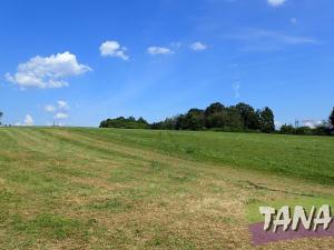 Prodej trvalého travního porostu, Hodkovice nad Mohelkou, 49051 m2