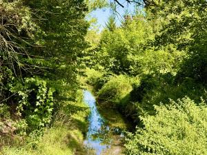 Prodej rodinného domu, Velvary, Chržínská, 500 m2