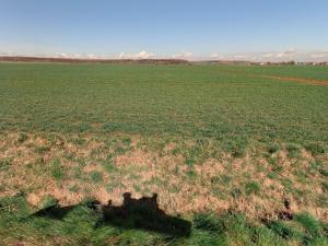 Prodej zemědělské půdy, Lužec nad Cidlinou, 25308 m2