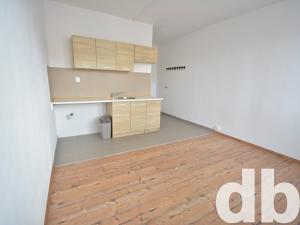 Pronájem bytu 1+kk, Nové Sedlo, Sadová, 20 m2