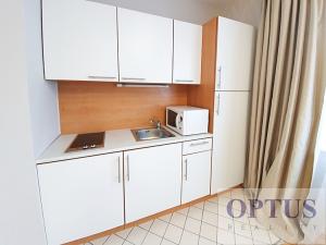 Pronájem bytu 1+kk, Praha - Vinohrady, U Zvonařky, 36 m2