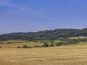 Prodej rodinného domu, Zdice, Družstevní, 270 m2