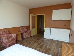 Pronájem bytu 1+kk, Brno, Heršpická, 24 m2