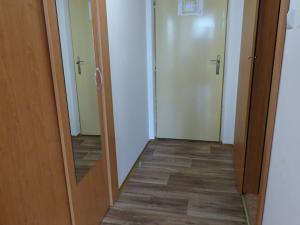 Pronájem bytu 1+kk, Brno, Heršpická, 24 m2