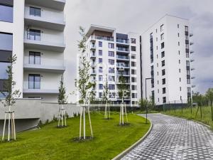 Pronájem bytu 2+kk, Praha - Hrdlořezy, V Třešňovce, 50 m2