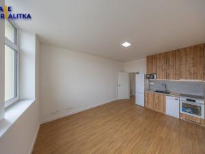 Pronájem bytu 1+kk, Přerov - Přerov I-Město, Čechova, 28 m2