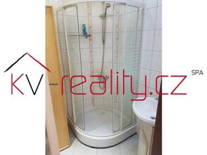 Prodej bytu 2+1, Ostrov, Kollárova, 52 m2