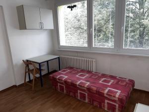 Pronájem bytu 1+kk, Kolín - Kolín II, Funkeho, 17 m2