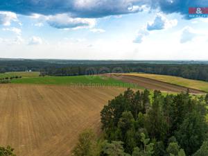 Prodej lesa, Chotěmice, 147 m2