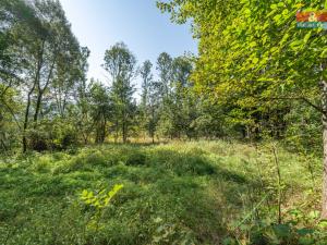 Prodej rodinného domu, Klenčí pod Čerchovem - Jindřichova Hora, 110 m2