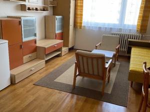 Pronájem bytu 1+kk, Karlovy Vary, Čankovská, 20 m2