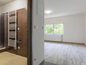 Pronájem bytu 1+kk, Strančice, Průmyslová, 28 m2