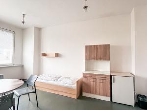 Pronájem bytu 1+kk, Hranice - Hranice I-Město, Potštátská, 25 m2