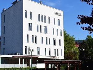 Prodej ubytování, Kopřivnice, Kpt. Jaroše, 856 m2