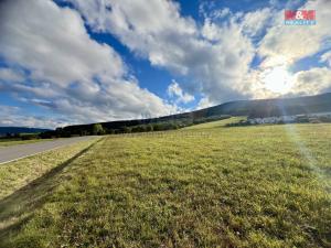 Prodej pozemku pro bydlení, Králíky - Dolní Boříkovice, 44657 m2