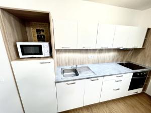 Prodej bytu 1+kk, Brno - Husovice, Husovická, 26 m2