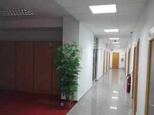 Pronájem kanceláře, Znojmo, náměstí Svobody, 51 m2