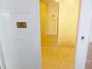 Prodej bytu 1+kk, Praha - Vinohrady, Hradecká, 45 m2