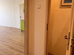 Prodej bytu 2+kk, Praha - Vysočany, Kolbenova, 50 m2