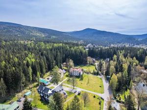 Prodej bytu 1+1, Harrachov, 37 m2