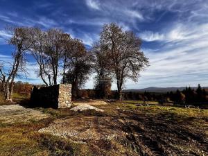 Prodej louky, Volary, 1910 m2