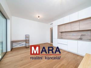 Pronájem bytu 1+kk, Olomouc, Ostrovní, 32 m2