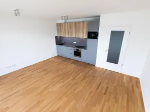 Prodej bytu 1+kk, Praha - Žižkov, Seifertova, 44 m2