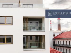 Pronájem bytu 1+kk, Brno, Cejl, 40 m2