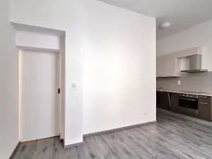 Pronájem bytu 2+kk, Praha - Holešovice, Na Maninách, 53 m2