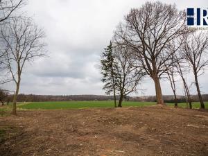 Prodej pozemku pro bydlení, Golčův Jeníkov, 2922 m2