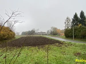 Prodej zemědělské usedlosti, Milevsko, 366 m2