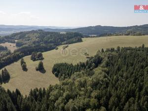 Prodej lesa, Valašská Senice, 8743 m2