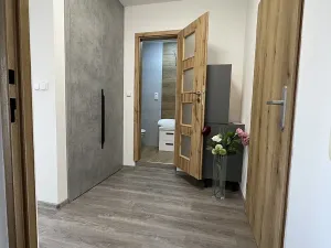 Pronájem bytu 2+kk, Plzeň, Tachovská, 40 m2