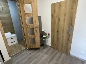 Pronájem bytu 2+kk, Plzeň, Tachovská, 40 m2