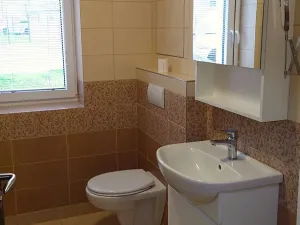 Pronájem bytu 1+kk, Trhové Sviny, Za Pilou, 40 m2