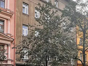 Prodej bytu 2+kk, Praha - Vinohrady, Velehradská, 50 m2