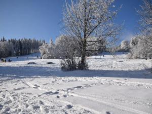 Prodej chaty, Bělá pod Pradědem, 430 m2