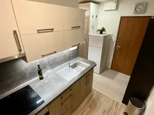 Prodej bytu 1+1, Zlín, Družstevní, 32 m2